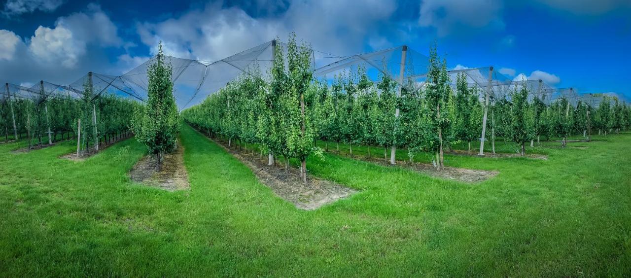 Hof Van Repen Tongeren Ngoại thất bức ảnh